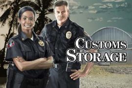 Customs Storage